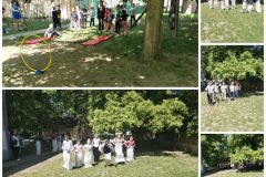 Collage_20260506_123353-1