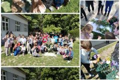 Collage_20260506_123520-2
